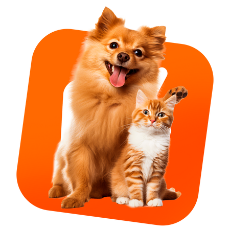 Pets